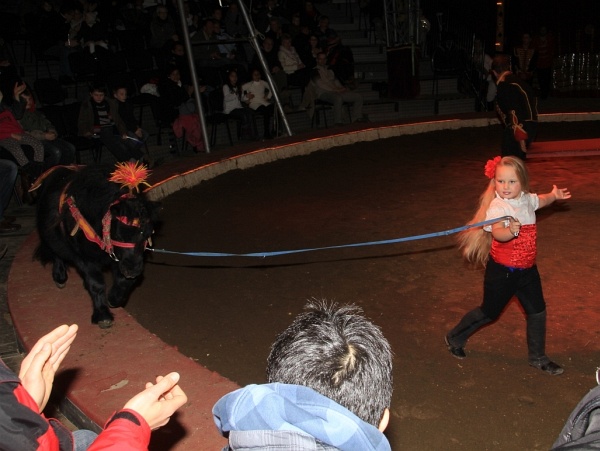 Circus Barelli   138.jpg